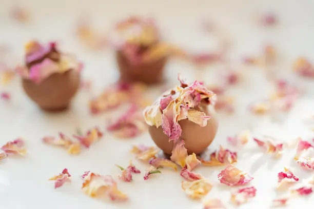 Coin365Bet Casino Aip Android/iOS